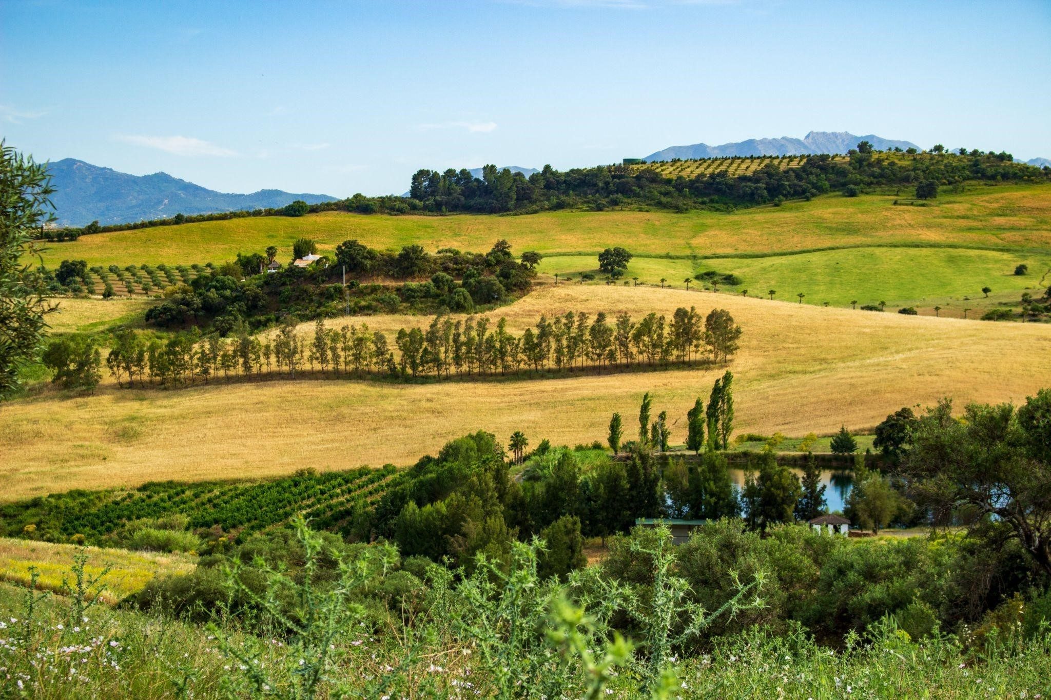 Finca con entorno natural