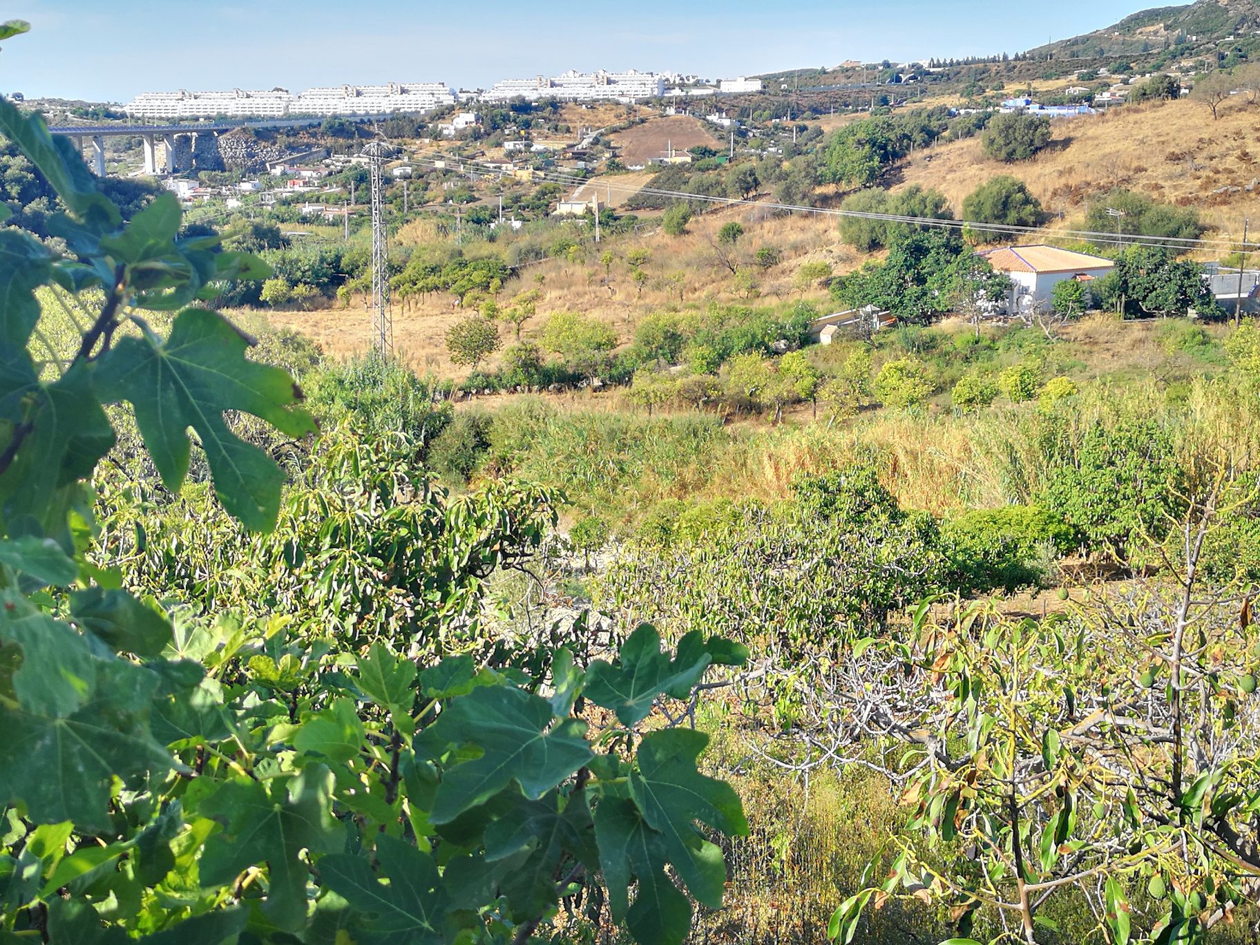 IMG_20190923_102428_resized_20190927_091857129 (1)