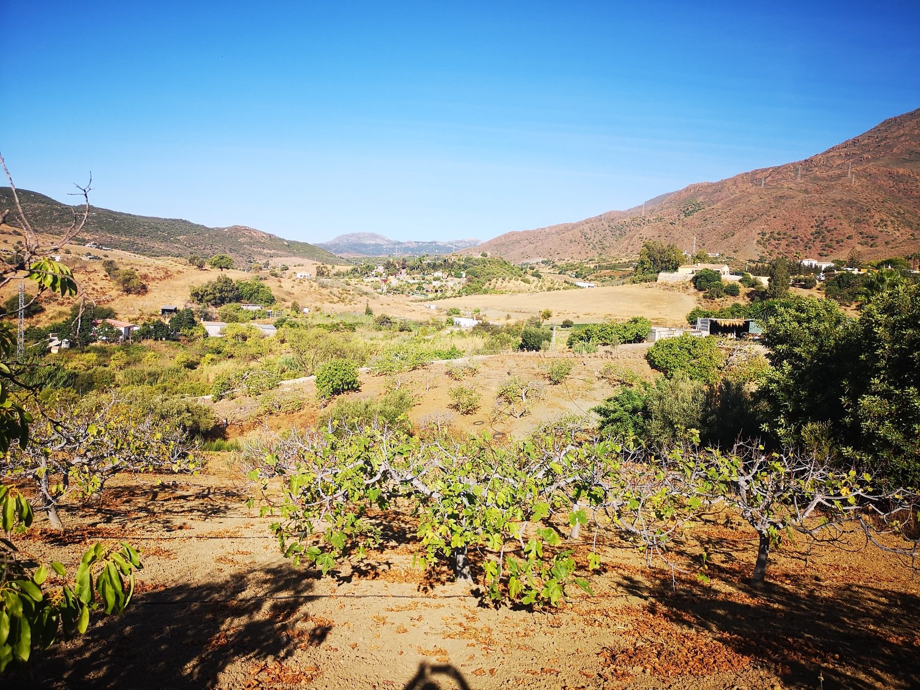 IMG_20190923_103550_resized_20190927_092912585