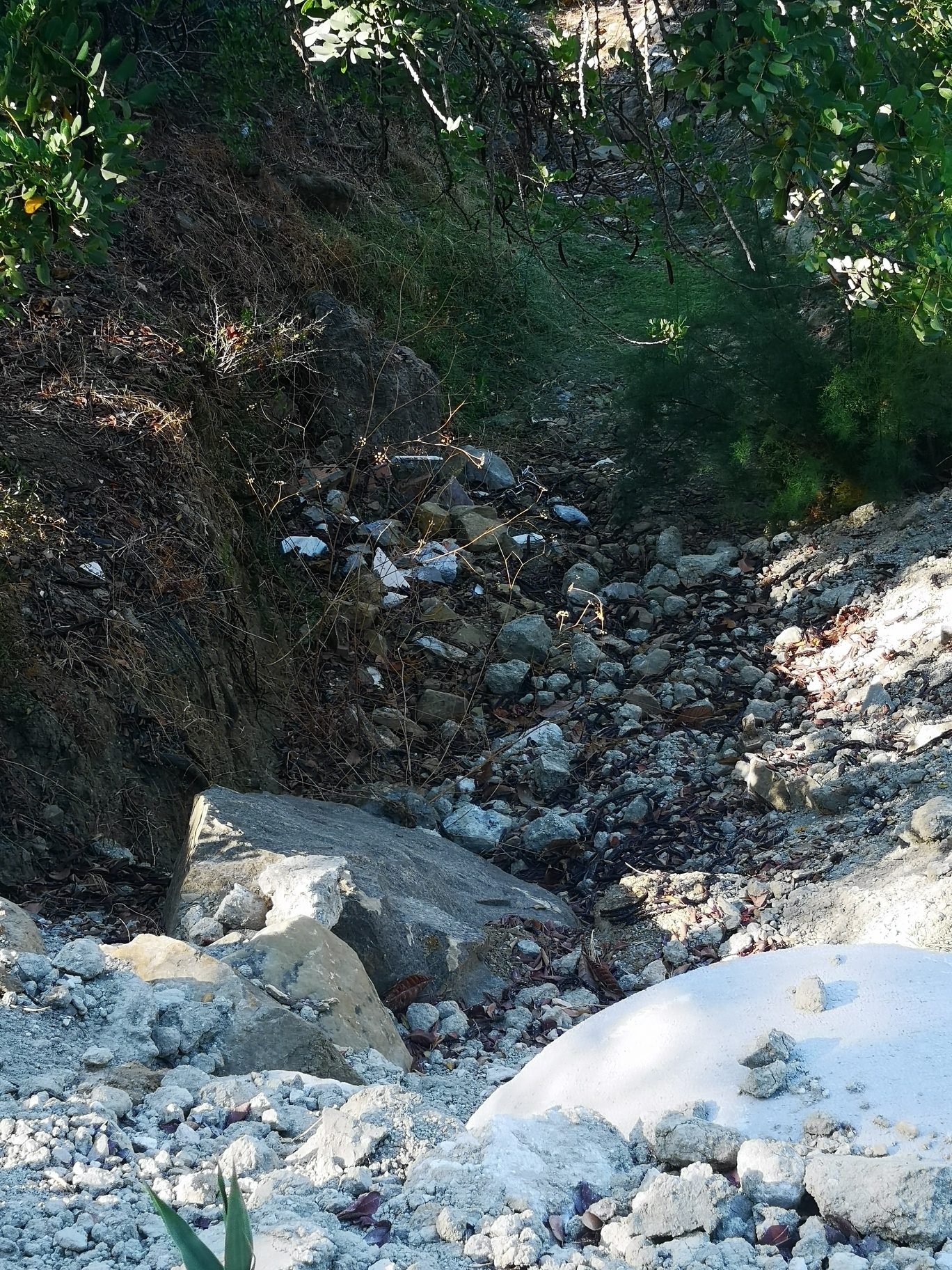 IMG_20190923_103757_resized_20190927_092912958