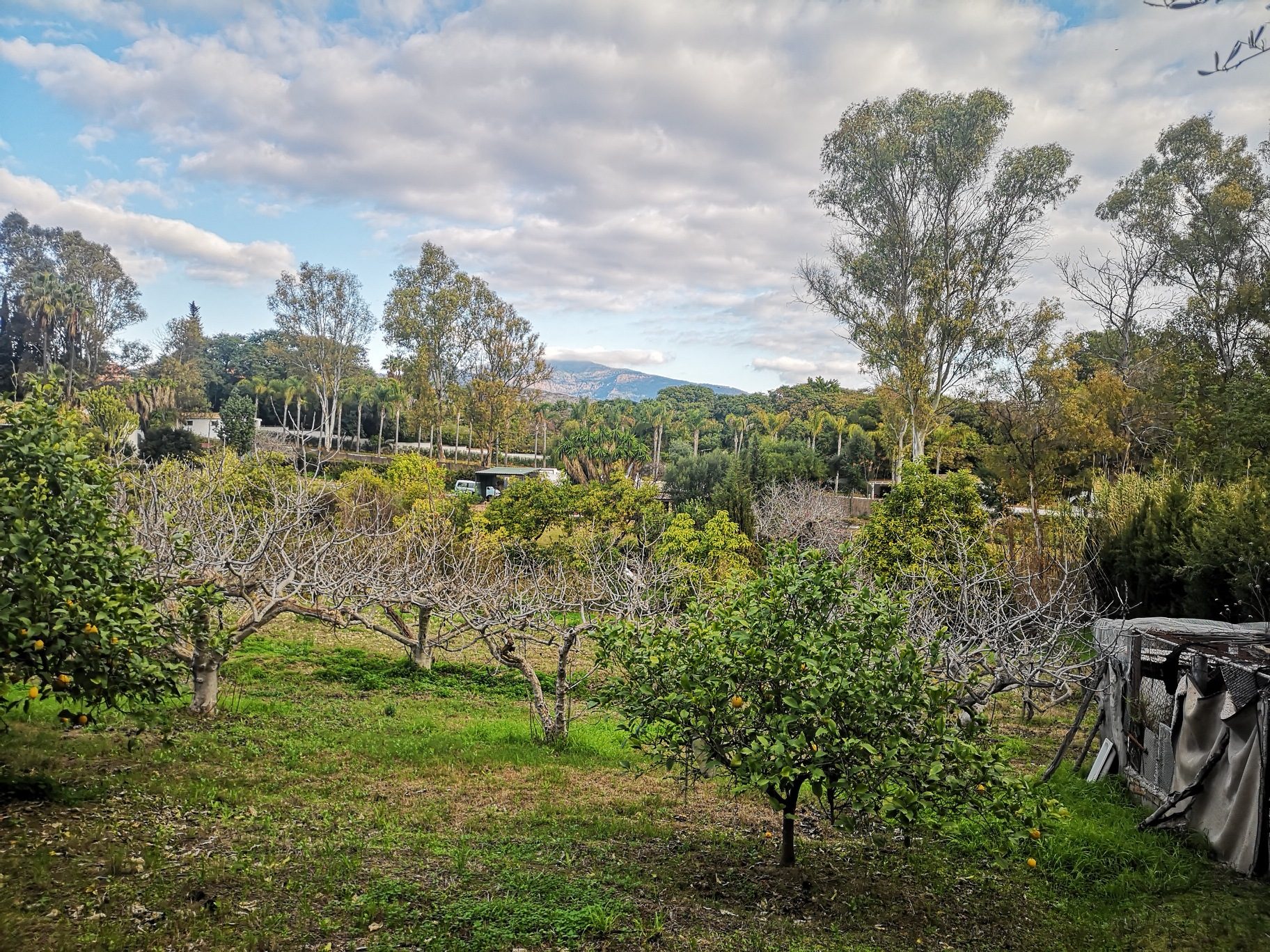 IMG_20220120_100606_resized_20220120_120435057