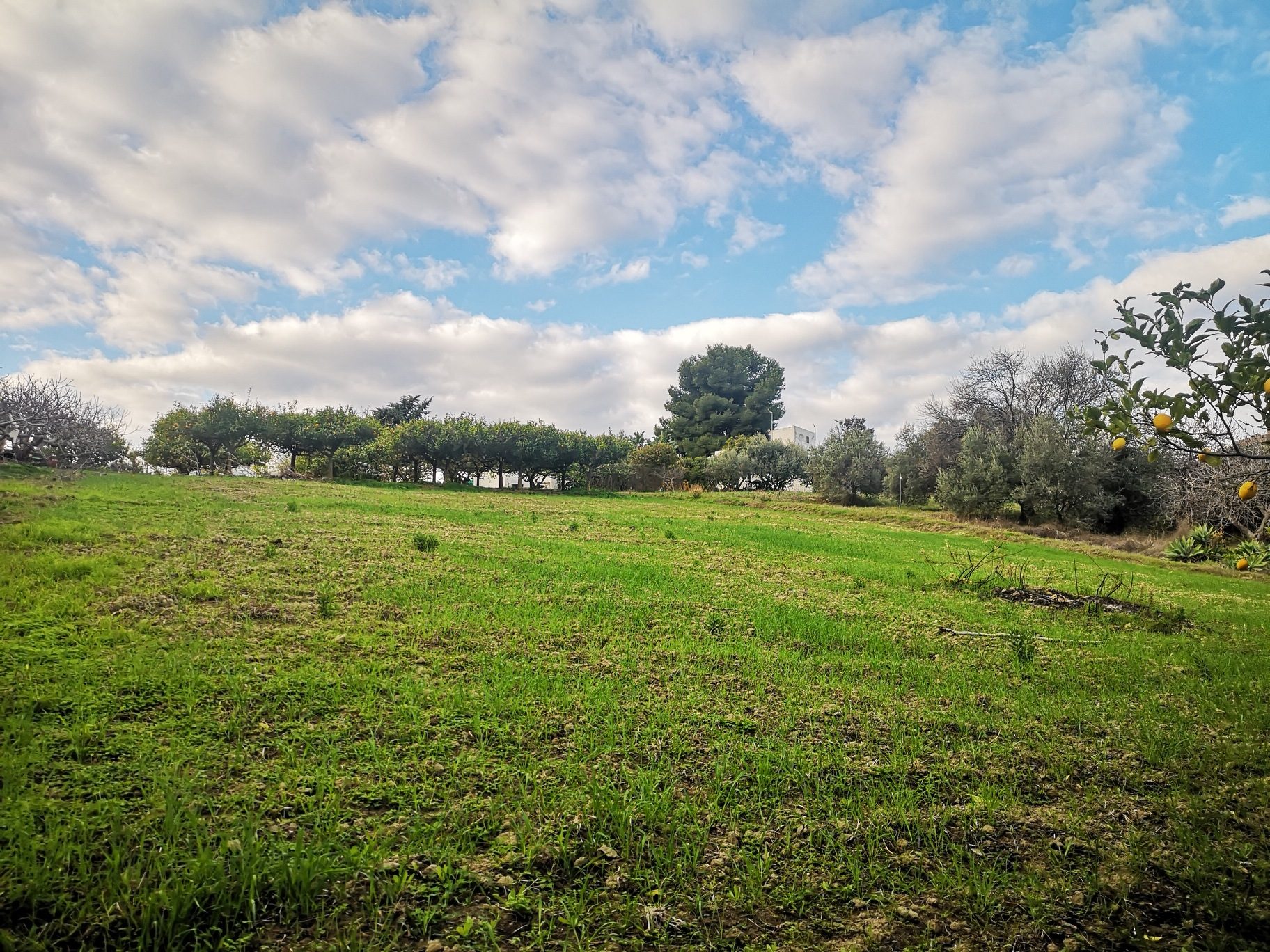 Gran parcela con vistas al mar en Cancelada