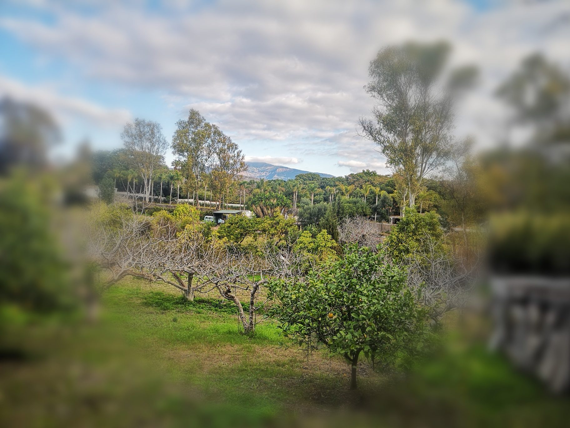 IMG_20220120_115954_resized_20220120_120431045