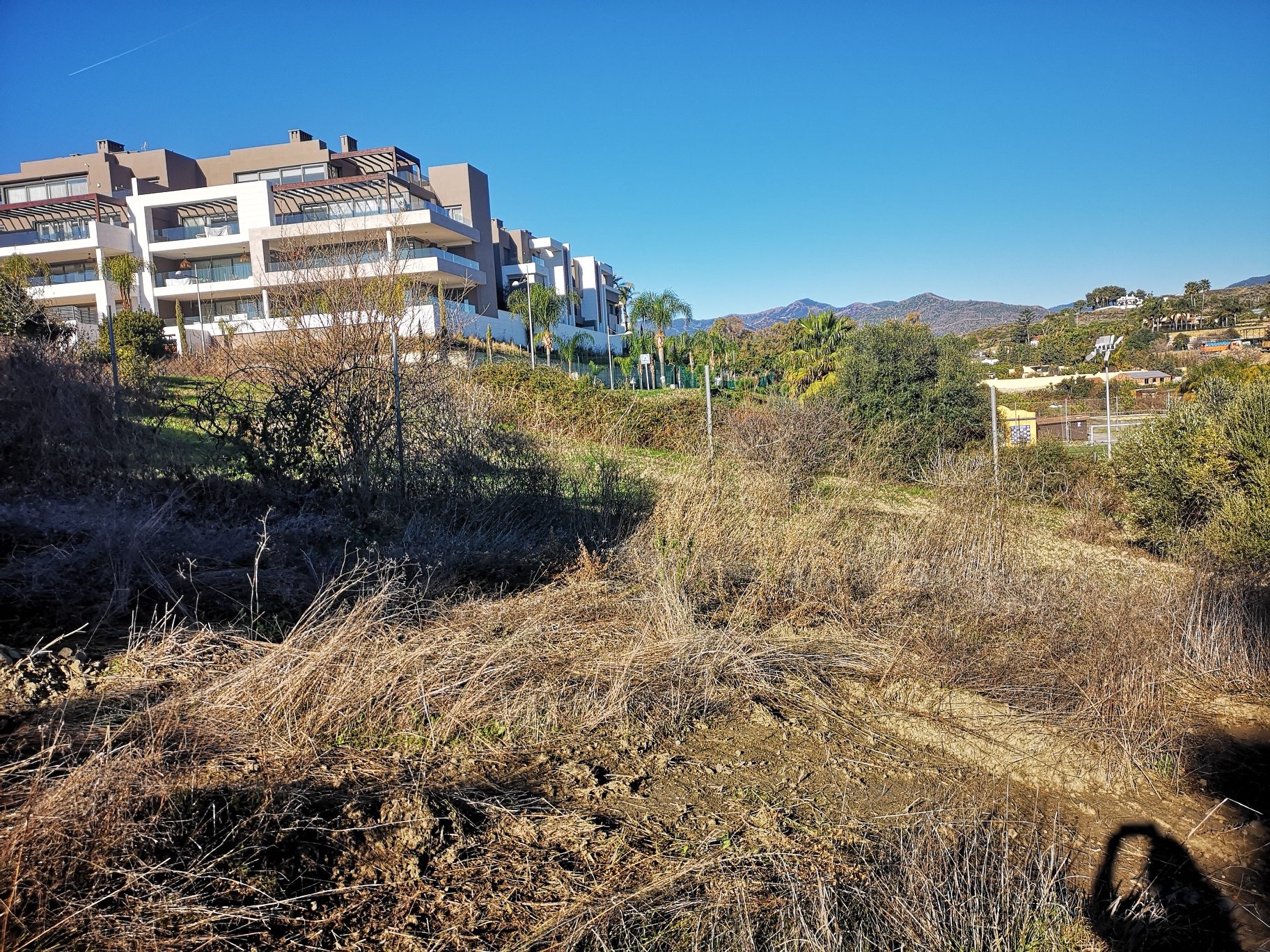 IMG_20220108_111000_resized_20220108_124007613