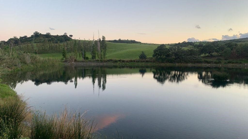Hermosa finca agroturística en Casarabonela