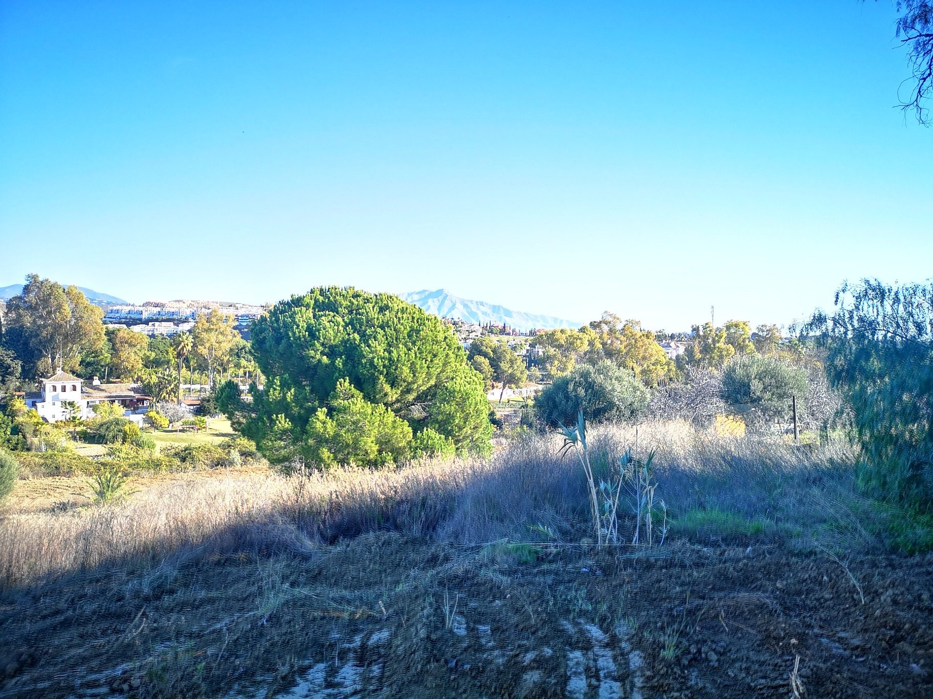 IMG_20220108_111054_resized_20220108_124009795