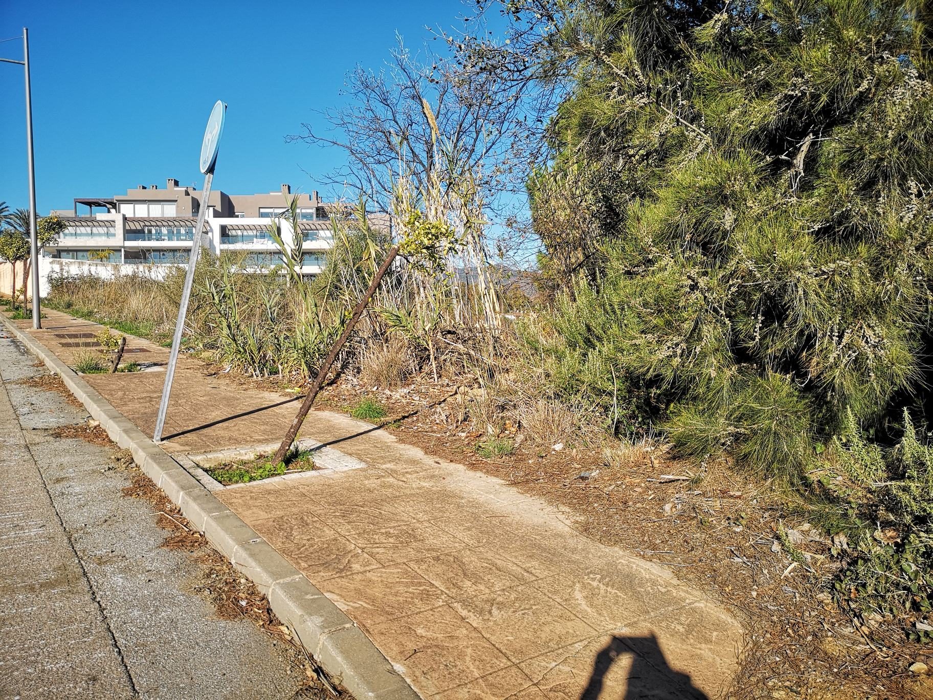 IMG_20220108_111143_resized_20220108_124004506