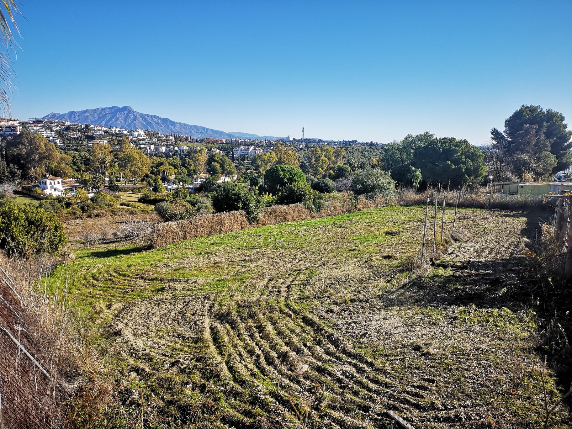 Large plot in Cancelada