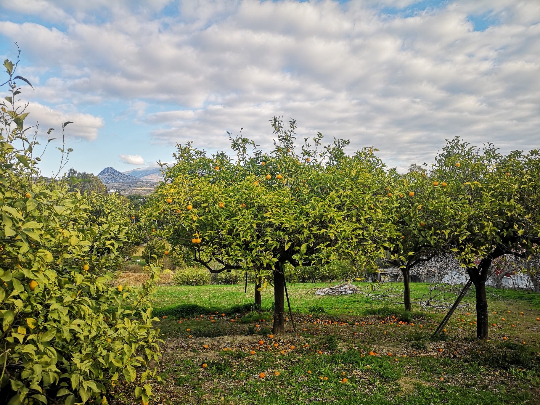 IMG_20220120_100420_resized_20220120_120434162