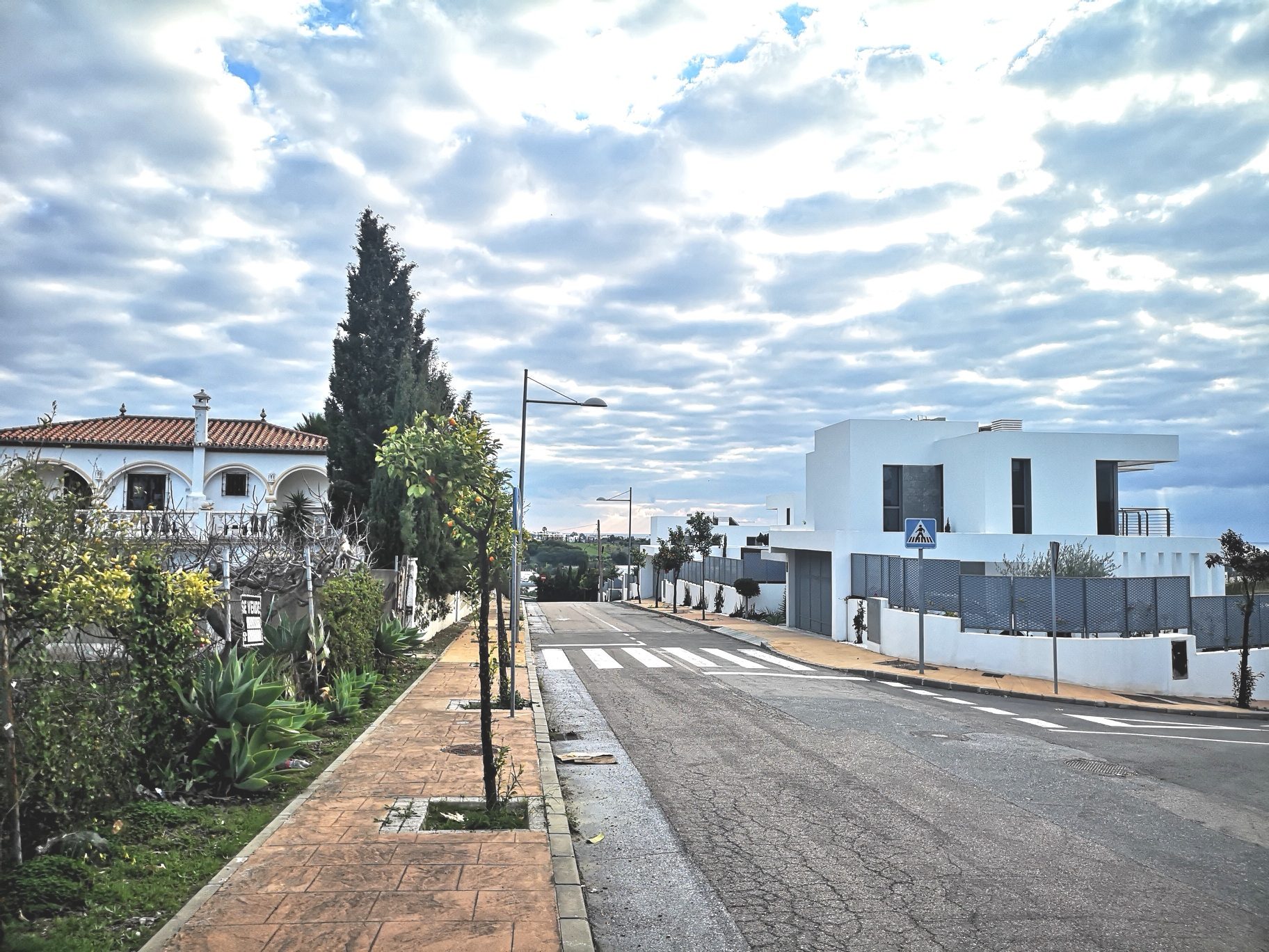 IMG_20220120_115729_resized_20220120_120429967