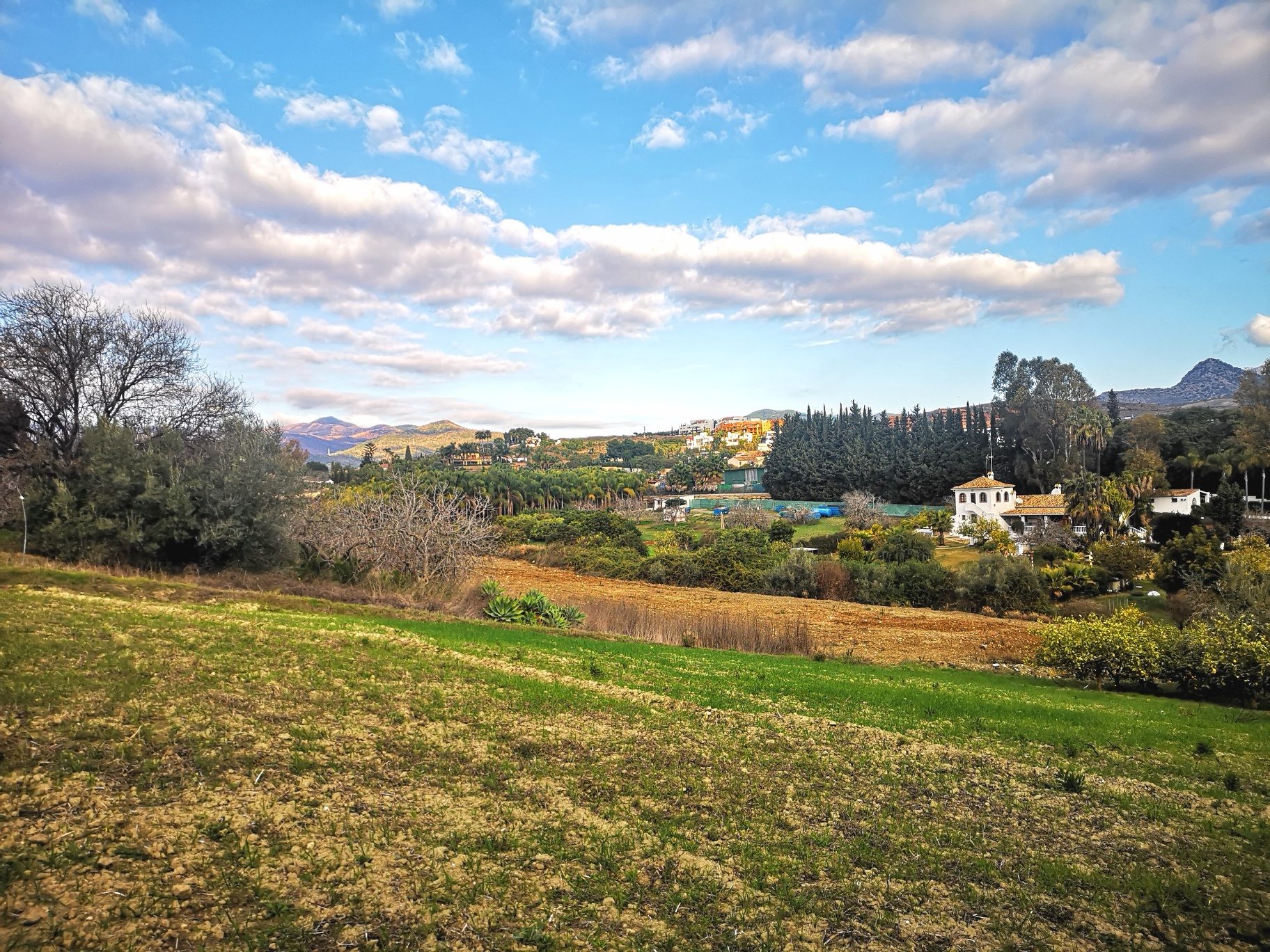 IMG_20220120_120023_resized_20220120_120433800