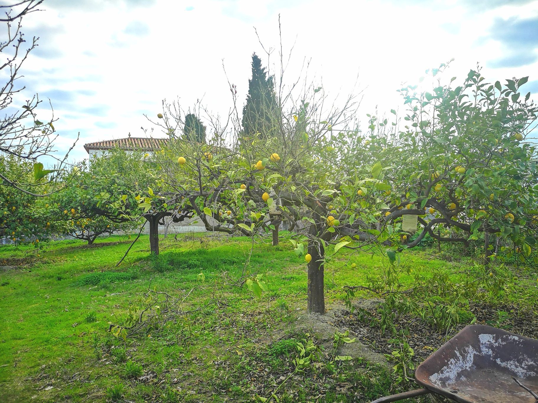 IMG_20220120_120053_resized_20220120_120432113