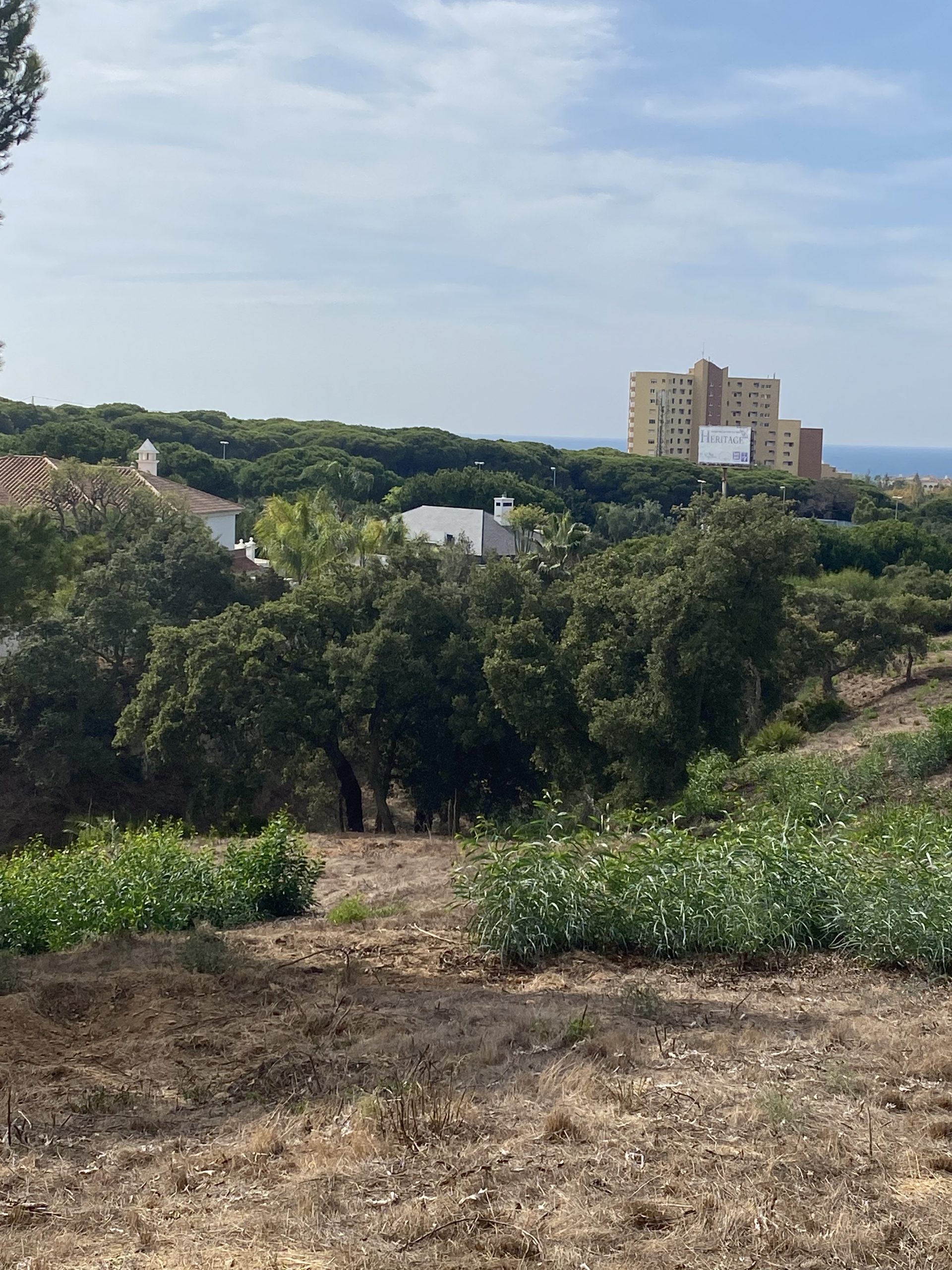 Foto 29-10-21 13 28 13