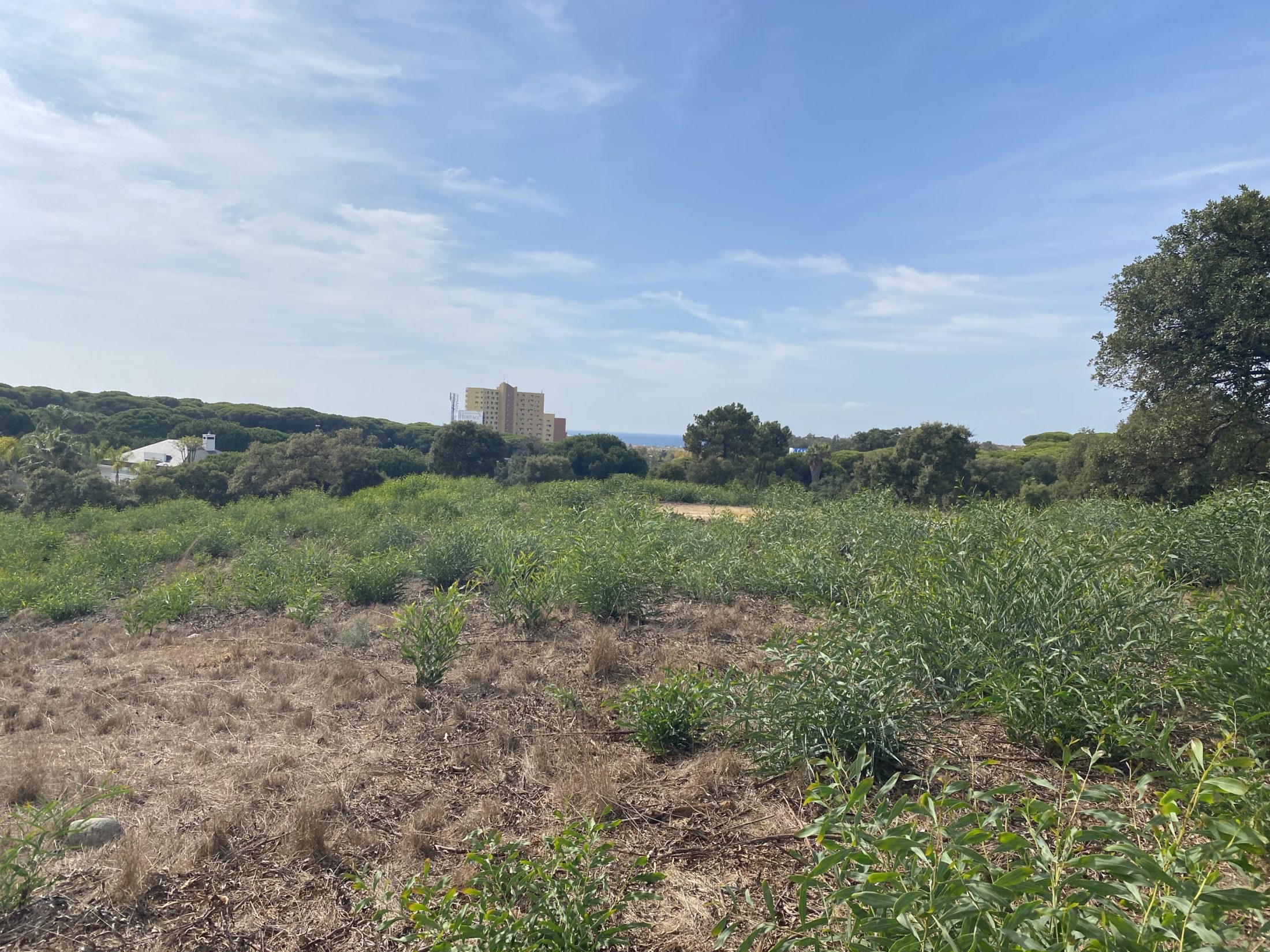 Foto 29-10-21 13 30 46