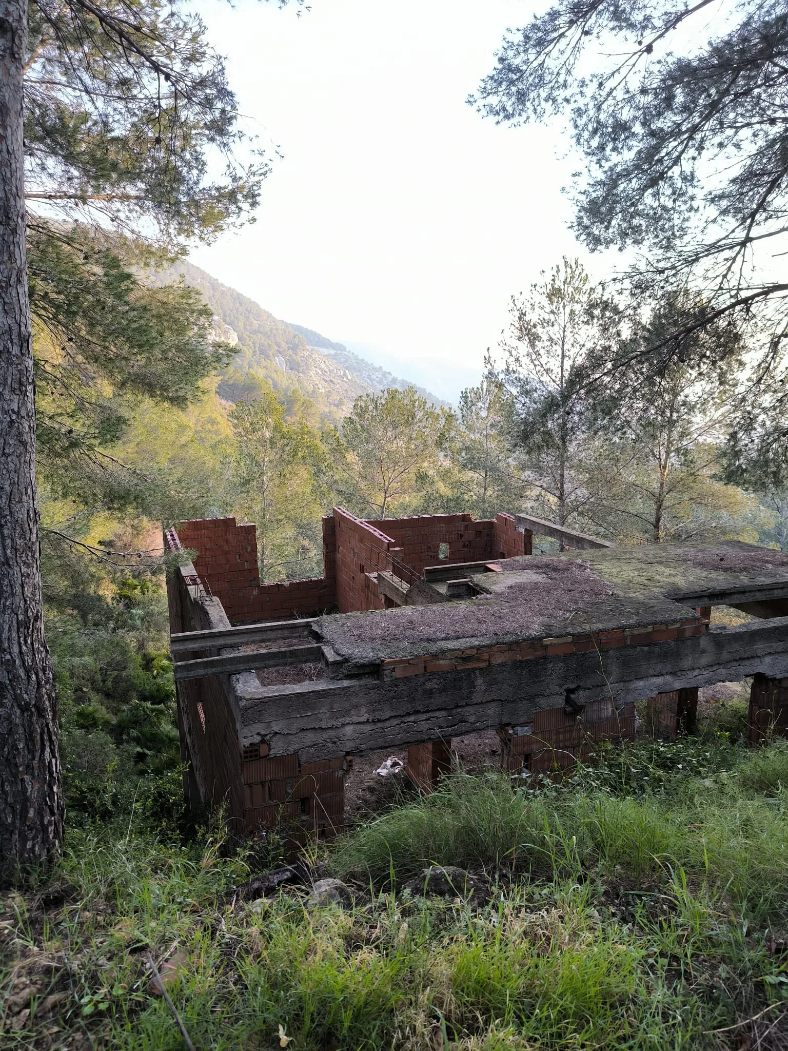 Parcelas en venta en El Pinar, Alcossebre